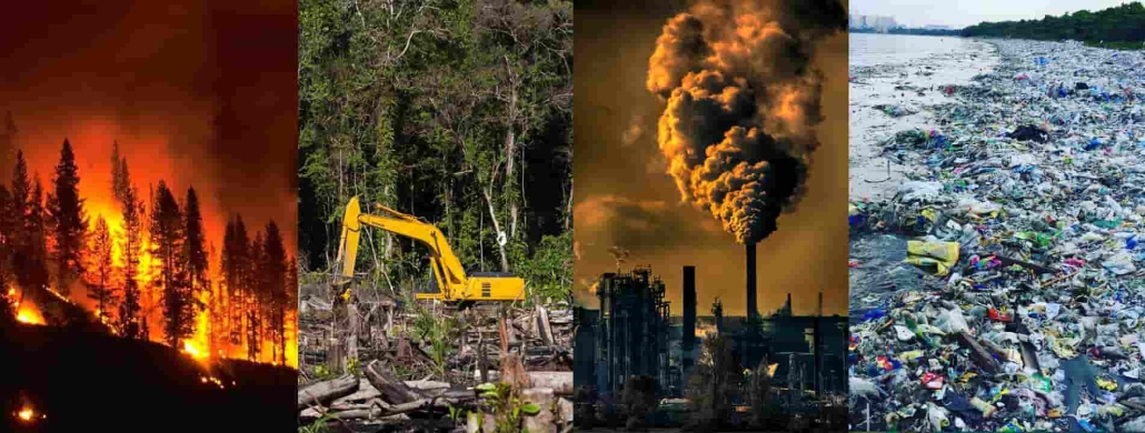 مسئولیت مدنی ناشی از زیان های محیط زیستی
